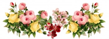 گزارش فعالیت های آموزشی مركز رازی گزارش فعالیت های آموزشی مركز رازی