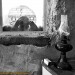 طواف-عاشقانه-یک-معلم